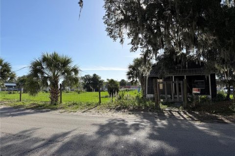 Villa ou maison à Wauchula, Floride 1 chambre, 68 m2 № 2322654