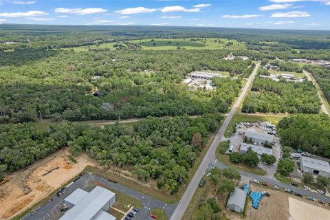 Land in Hernando, Florida № 1816170 - photo 20