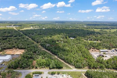 Land in Hernando, Florida № 1816170 - photo 2