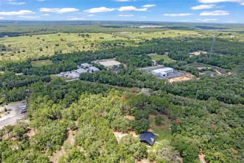 Land in Hernando, Florida № 1816170 - photo 10