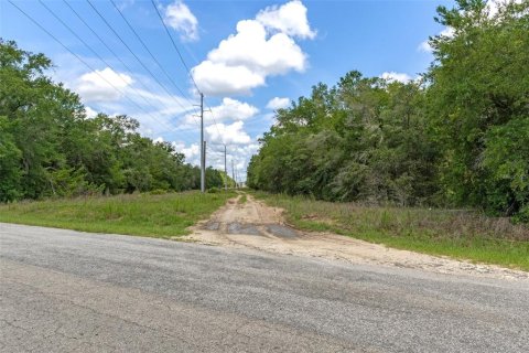 Land in Hernando, Florida № 1816170 - photo 25