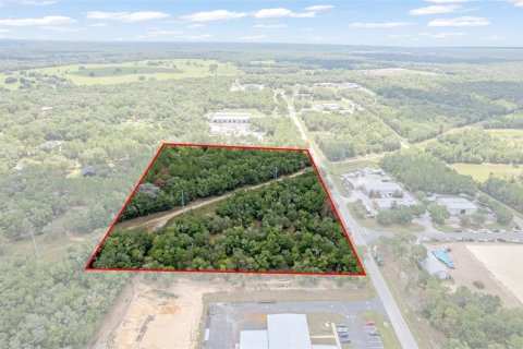 Land in Hernando, Florida № 1816170 - photo 18