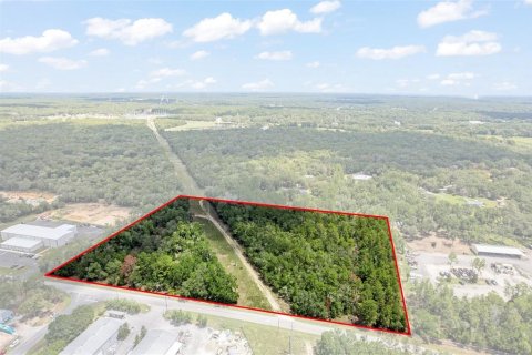 Land in Hernando, Florida № 1816170 - photo 3