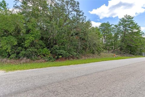 Land in Hernando, Florida № 1816170 - photo 1