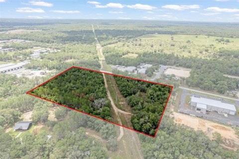 Land in Hernando, Florida № 1816170 - photo 12