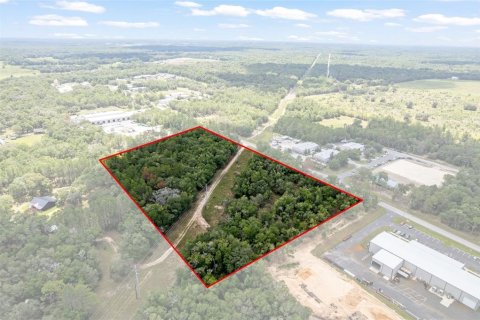 Land in Hernando, Florida № 1816170 - photo 14