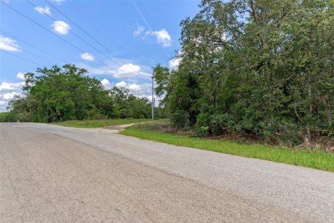 Land in Hernando, Florida № 1816170 - photo 21