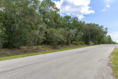 Land in Hernando, Florida № 1816170 - photo 22