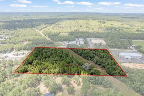 Land in Hernando, Florida № 1816170 - photo 24