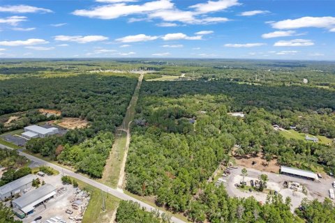 Land in Hernando, Florida № 1816170 - photo 5