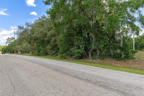 Land in Hernando, Florida № 1816170 - photo 23
