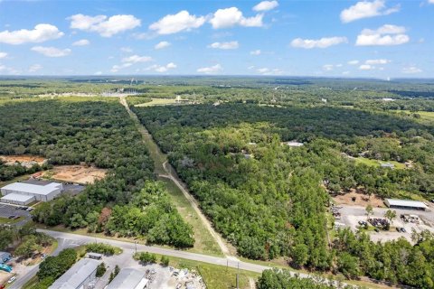 Land in Hernando, Florida № 1816170 - photo 4