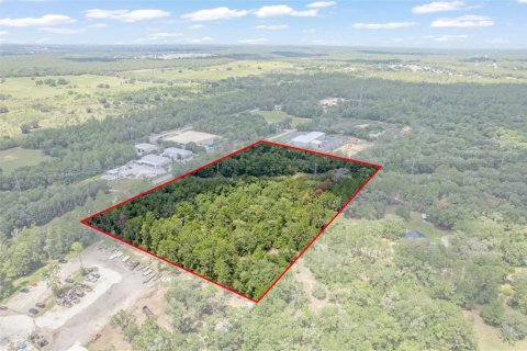 Land in Hernando, Florida № 1816170 - photo 8