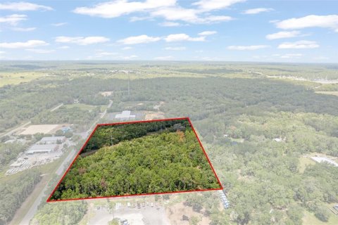 Land in Hernando, Florida № 1816170 - photo 6