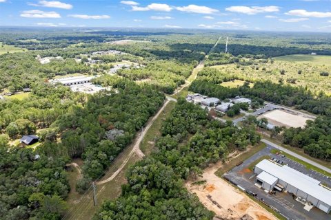 Land in Hernando, Florida № 1816170 - photo 15