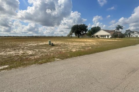 Land in Lake Placid, Florida № 1754452 - photo 2