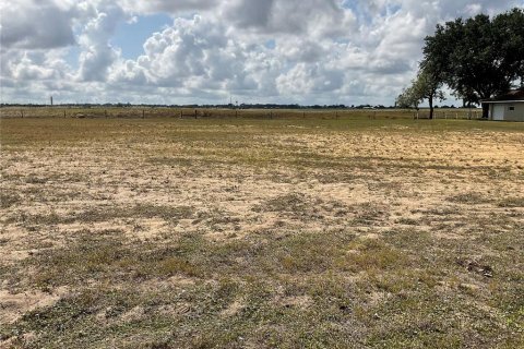 Land in Lake Placid, Florida № 1754452 - photo 4