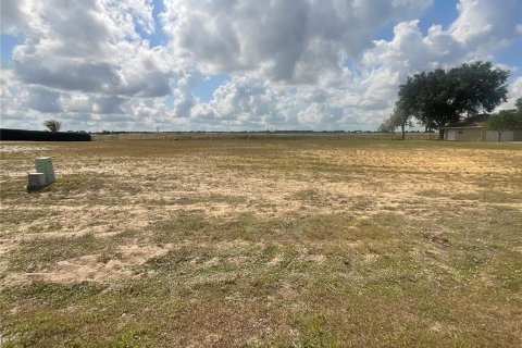 Land in Lake Placid, Florida № 1754452 - photo 5