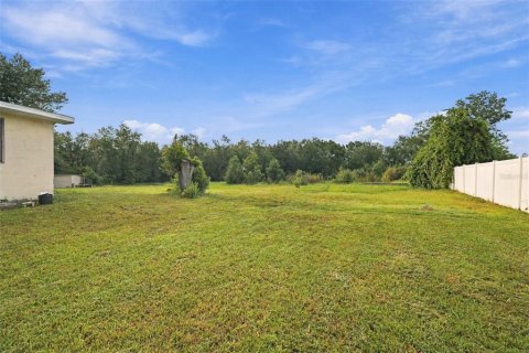 Villa ou maison à vendre à Wesley Chapel, Floride: 4 chambres, 196.12 m2 № 2215862 - photo 24