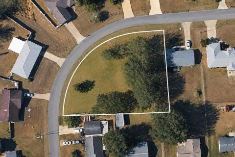 Terrain à Ocala, Floride № 2097807