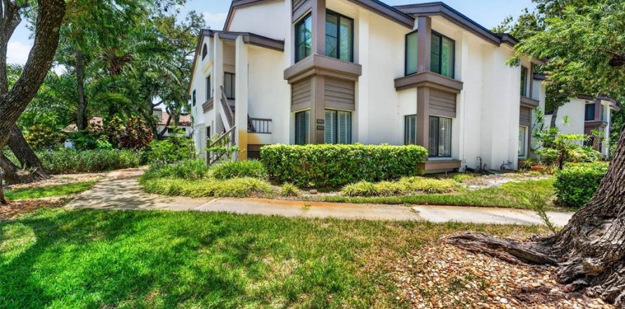 Condo in Safety Harbor, Florida, 2 bedrooms  № 2208493