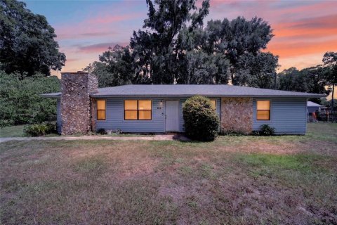 Villa ou maison à vendre à Ocala, Floride: 3 chambres, 127.74 m2 № 2208264 - photo 3