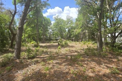 Terreno en venta en Lakeland, Florida № 2128144 - foto 1