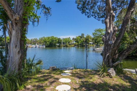 House in Crystal River, Florida 3 bedrooms, 113.71 sq.m. № 2214169 - photo 6