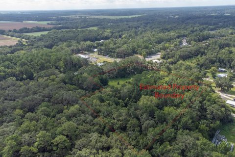 Casa en venta en East Palatka, Florida, 4 dormitorios, 164.99 m2 № 2277291 - foto 10