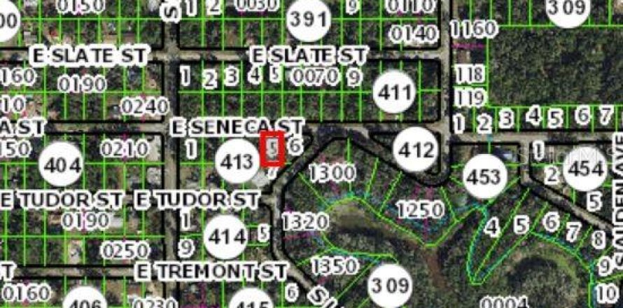 Land in Inverness, Florida № 2165545