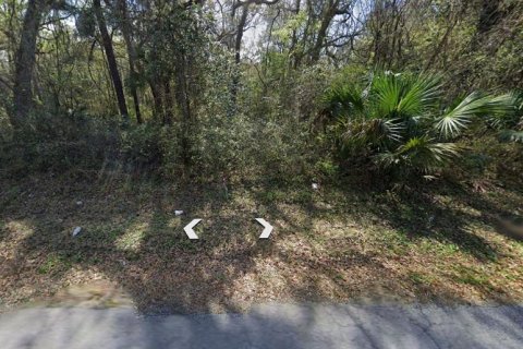 Land in Inverness, Florida № 2165545 - photo 2
