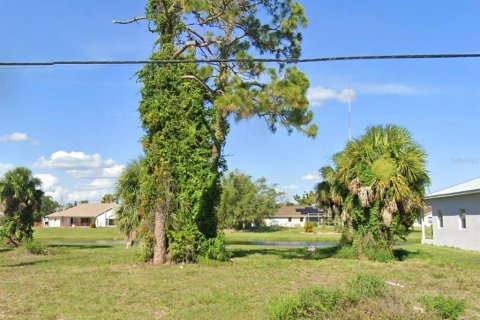 Terrain à Rotonda, Floride № 2097540