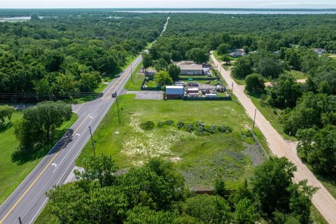 Terreno en venta en Belleview, Florida № 1844626 - foto 4