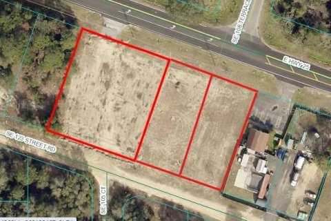 Terreno en venta en Belleview, Florida № 1844626 - foto 1