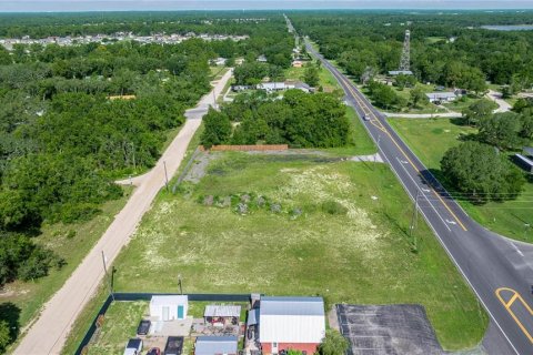 Terreno en venta en Belleview, Florida № 1844626 - foto 8