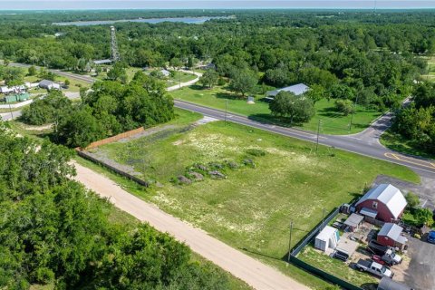 Terreno en venta en Belleview, Florida № 1844626 - foto 7