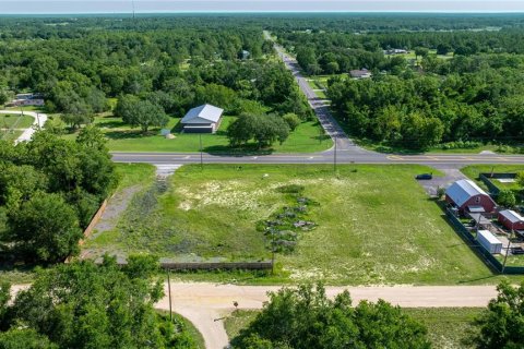 Terreno en venta en Belleview, Florida № 1844626 - foto 6