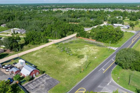 Terreno en venta en Belleview, Florida № 1844626 - foto 9