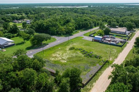 Terreno en venta en Belleview, Florida № 1844626 - foto 5