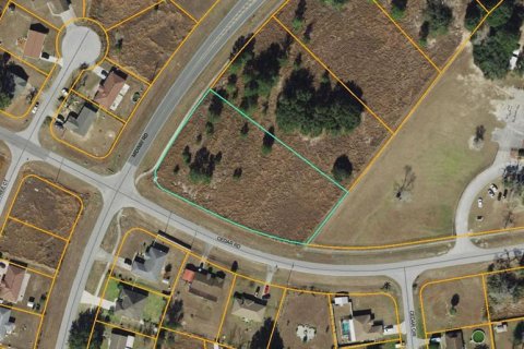 Land in Ocala, Florida № 844589 - photo 1