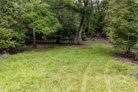Terreno en venta en High Springs, Florida № 1918762 - foto 5