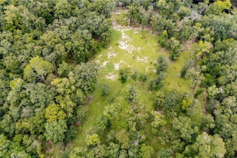 Terreno en venta en High Springs, Florida № 1918762 - foto 9