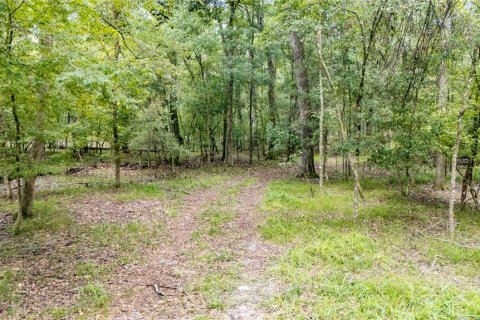 Terreno en venta en High Springs, Florida № 1918762 - foto 4
