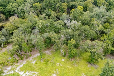 Terreno en venta en High Springs, Florida № 1918762 - foto 15