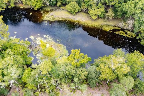 Terreno en venta en High Springs, Florida № 1918762 - foto 2