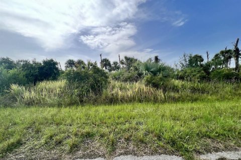 Land in North Port, Florida № 2163101