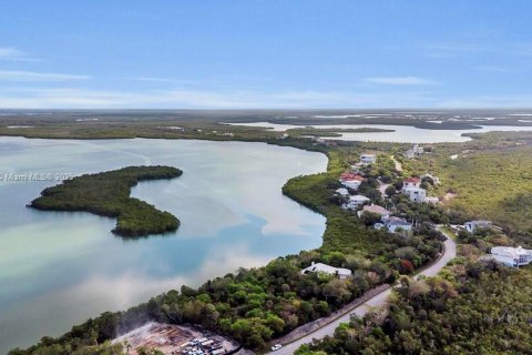 Commercial property in Marco Island, Florida № 1865219 - photo 5