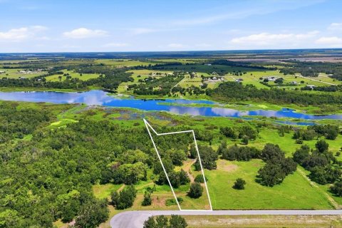 Terrain à Myakka City, Floride № 2329528