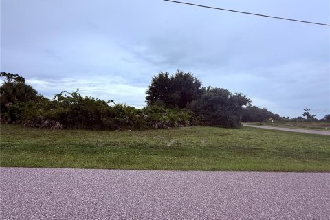 Land in Rotonda, Florida № 2403680 - photo 4
