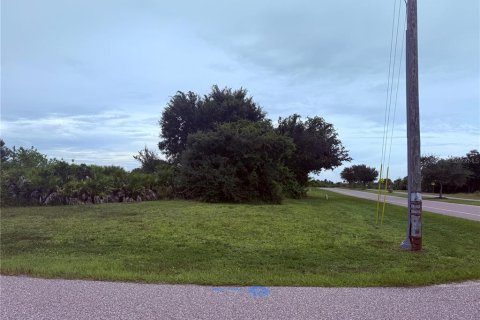 Land in Rotonda, Florida № 2403680 - photo 6